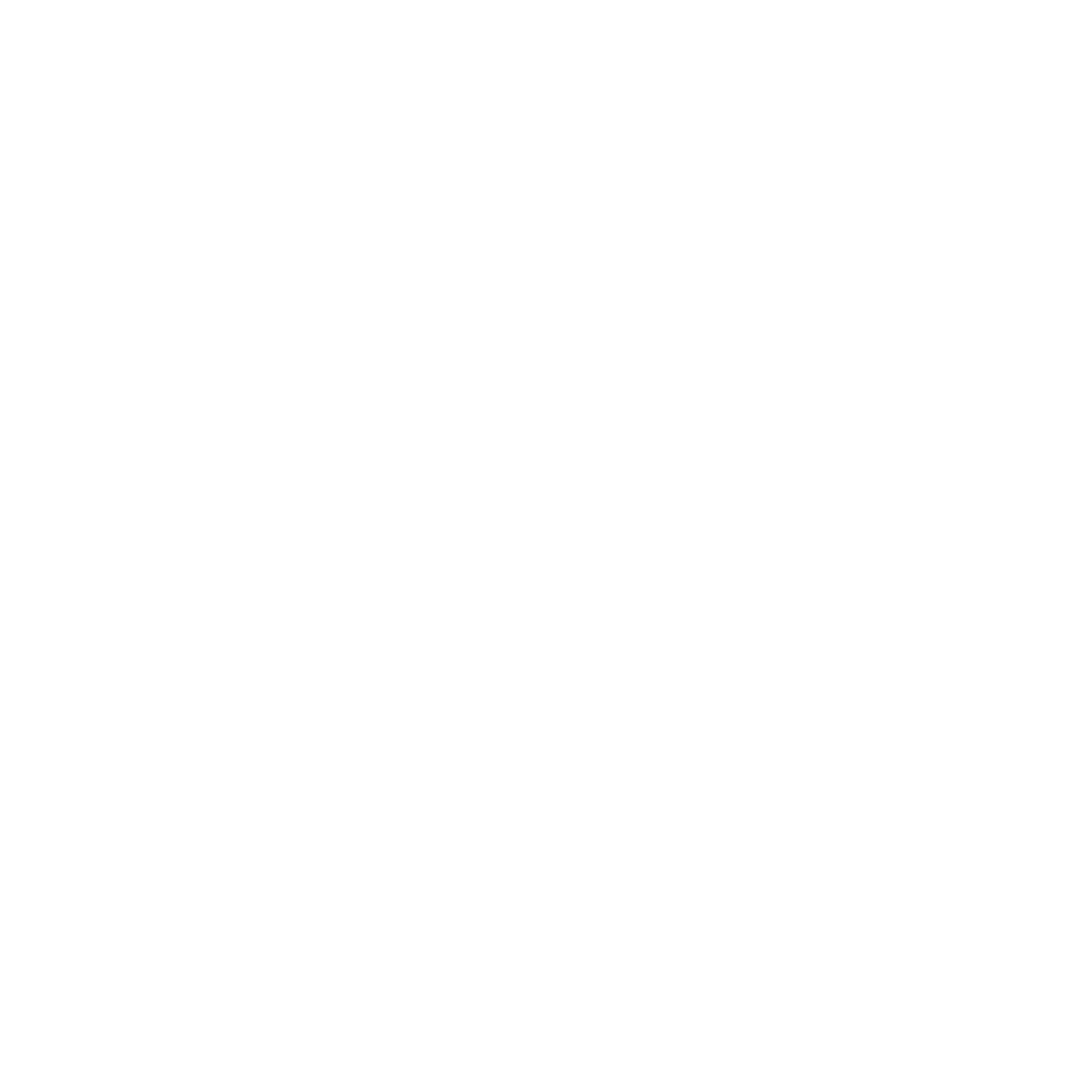 Protein Rebel Running Festival logo